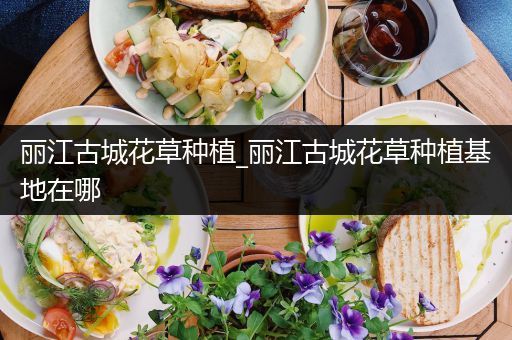 丽江古城花草种植_丽江古城花草种植基地在哪