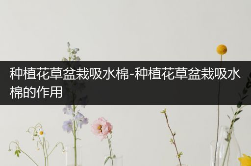 种植花草盆栽吸水棉-种植花草盆栽吸水棉的作用