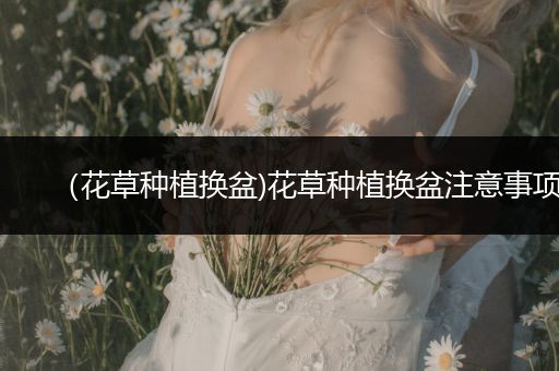 （花草种植换盆)花草种植换盆注意事项