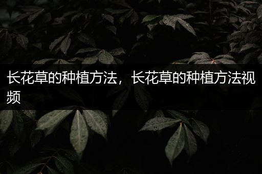 长花草的种植方法，长花草的种植方法视频