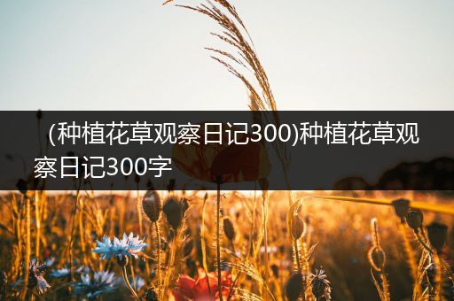 （种植花草观察日记300)种植花草观察日记300字
