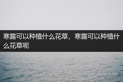 寒露可以种植什么花草，寒露可以种植什么花草呢