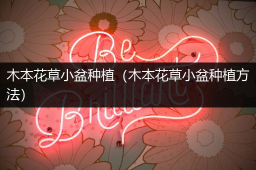 木本花草小盆种植（木本花草小盆种植方法）