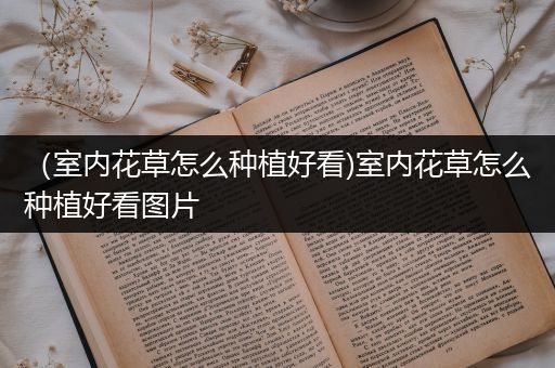 （室内花草怎么种植好看)室内花草怎么种植好看图片