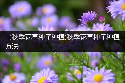 （秋季花草种子种植)秋季花草种子种植方法