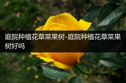 庭院种植花草菜果树-庭院种植花草菜果树好吗