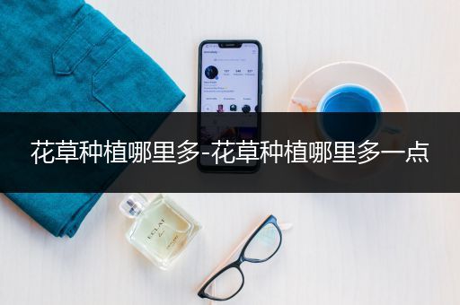 花草种植哪里多-花草种植哪里多一点