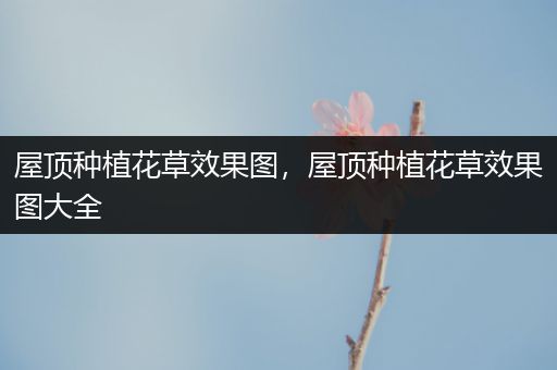 屋顶种植花草效果图，屋顶种植花草效果图大全