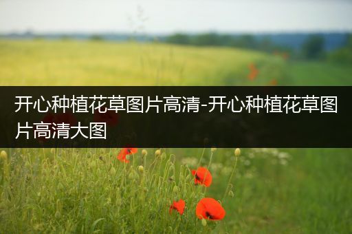 开心种植花草图片高清-开心种植花草图片高清大图