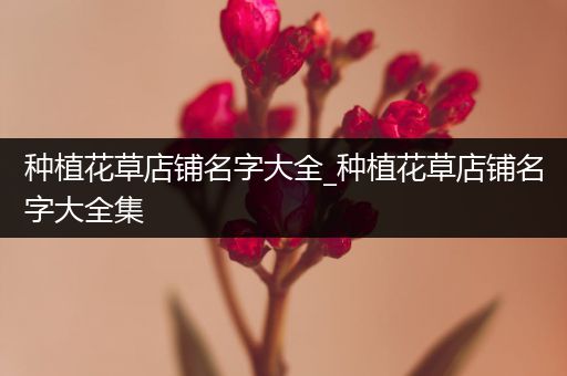 种植花草店铺名字大全_种植花草店铺名字大全集