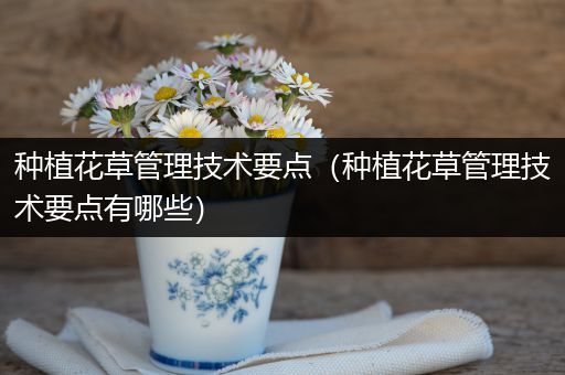 种植花草管理技术要点（种植花草管理技术要点有哪些）