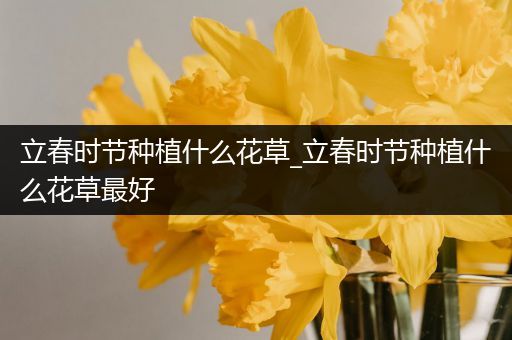 立春时节种植什么花草_立春时节种植什么花草最好