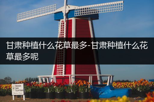 甘肃种植什么花草最多-甘肃种植什么花草最多呢