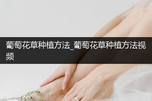 葡萄花草种植方法_葡萄花草种植方法视频