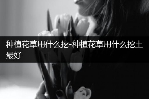 种植花草用什么挖-种植花草用什么挖土最好