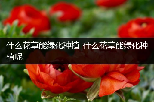 什么花草能绿化种植_什么花草能绿化种植呢