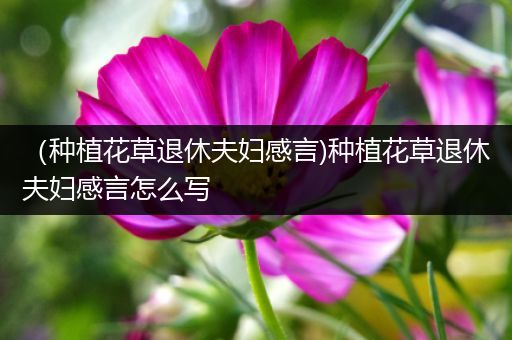 （种植花草退休夫妇感言)种植花草退休夫妇感言怎么写