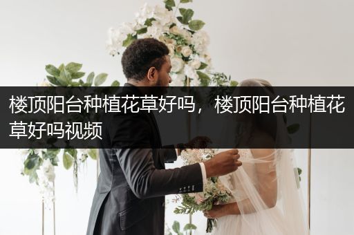 楼顶阳台种植花草好吗，楼顶阳台种植花草好吗视频