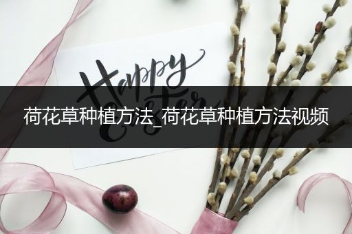 荷花草种植方法_荷花草种植方法视频