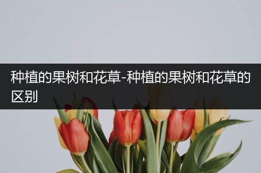 种植的果树和花草-种植的果树和花草的区别