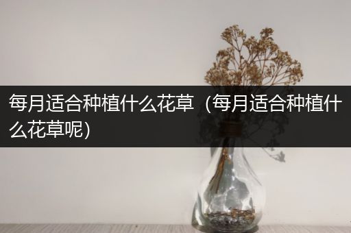 每月适合种植什么花草（每月适合种植什么花草呢）