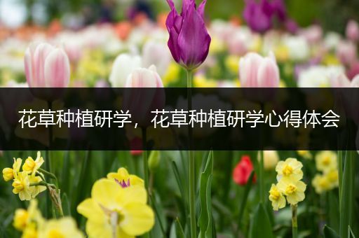 花草种植研学，花草种植研学心得体会