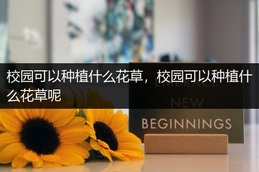 校园可以种植什么花草，校园可以种植什么花草呢