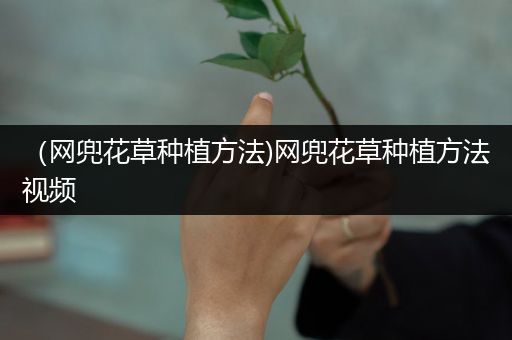 （网兜花草种植方法)网兜花草种植方法视频