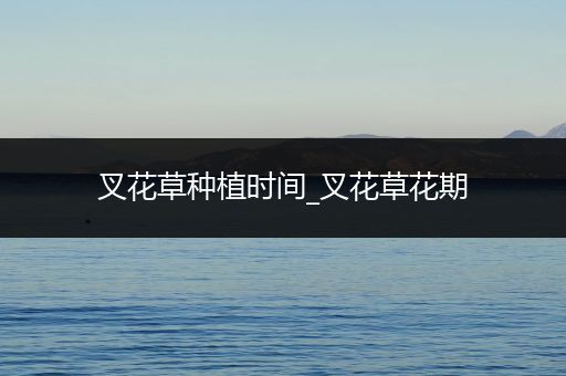 叉花草种植时间_叉花草花期