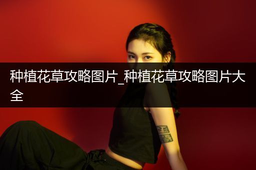 种植花草攻略图片_种植花草攻略图片大全