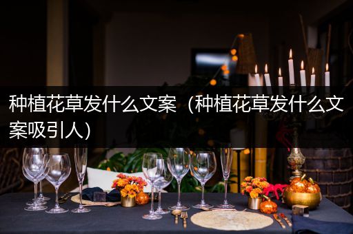 种植花草发什么文案（种植花草发什么文案吸引人）