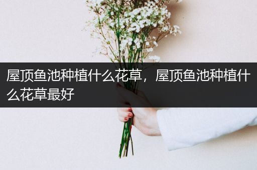 屋顶鱼池种植什么花草，屋顶鱼池种植什么花草最好