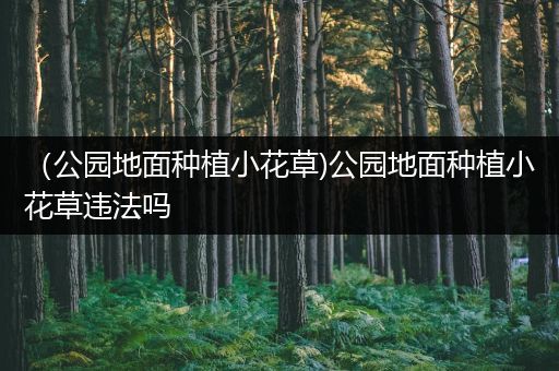 （公园地面种植小花草)公园地面种植小花草违法吗