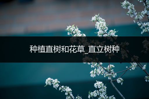 种植直树和花草_直立树种