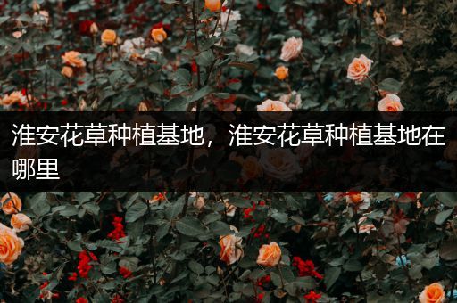 淮安花草种植基地，淮安花草种植基地在哪里
