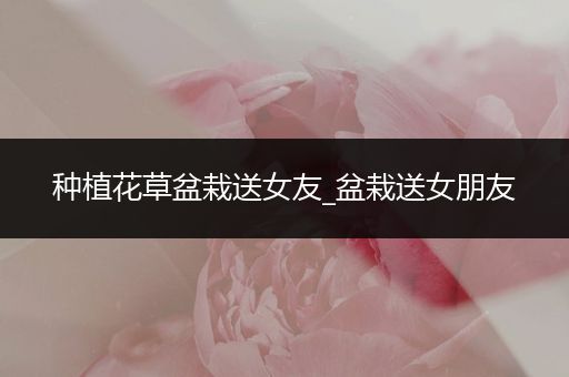 种植花草盆栽送女友_盆栽送女朋友
