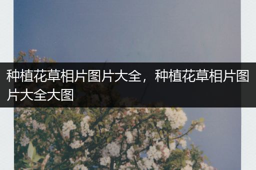 种植花草相片图片大全，种植花草相片图片大全大图