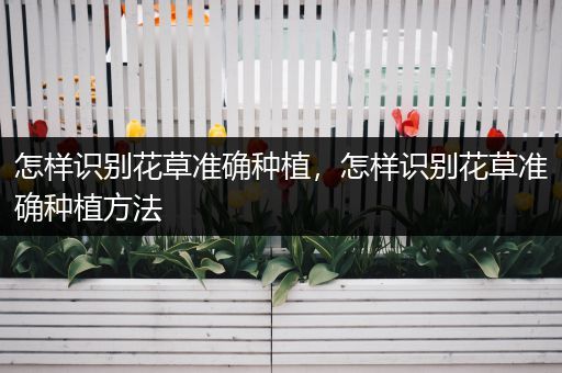 怎样识别花草准确种植，怎样识别花草准确种植方法