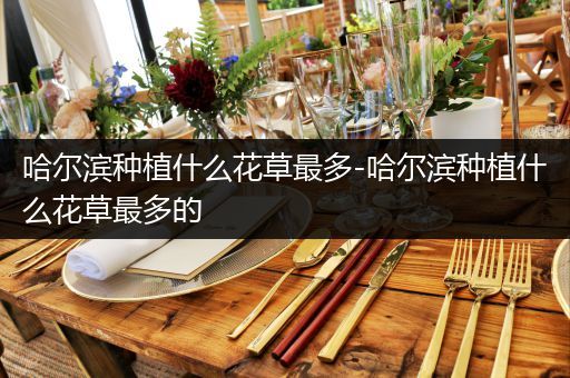哈尔滨种植什么花草最多-哈尔滨种植什么花草最多的