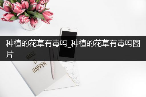 种植的花草有毒吗_种植的花草有毒吗图片