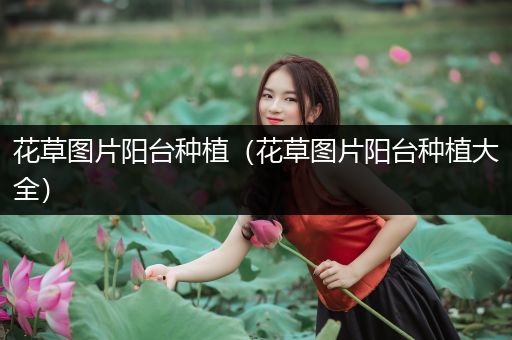 花草图片阳台种植（花草图片阳台种植大全）