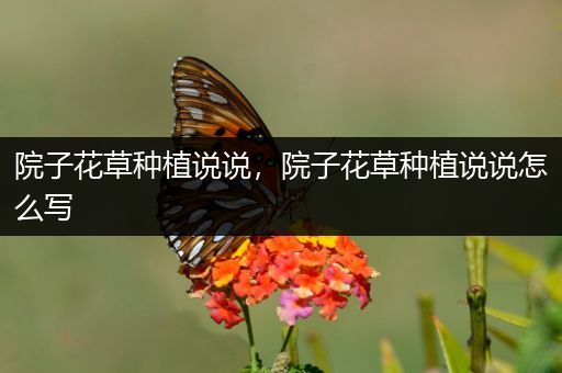 院子花草种植说说，院子花草种植说说怎么写