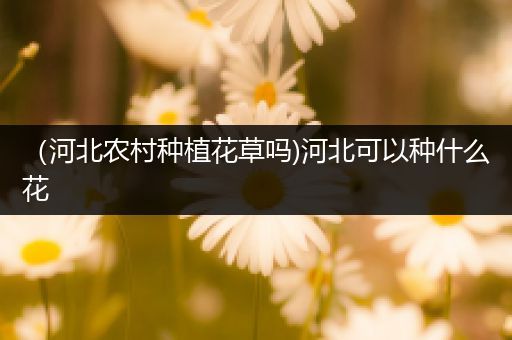 （河北农村种植花草吗)河北可以种什么花
