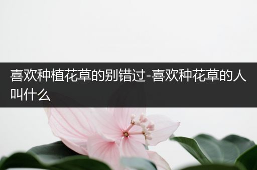 喜欢种植花草的别错过-喜欢种花草的人叫什么