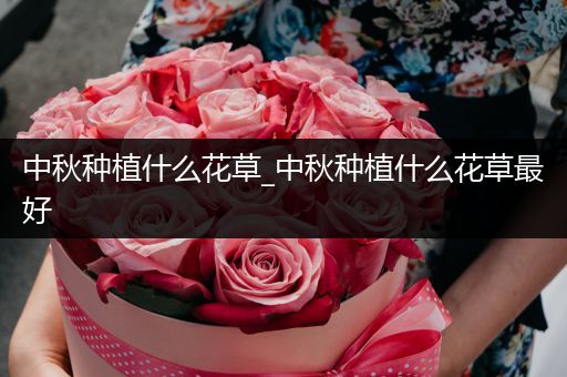 中秋种植什么花草_中秋种植什么花草最好