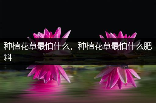 种植花草最怕什么，种植花草最怕什么肥料