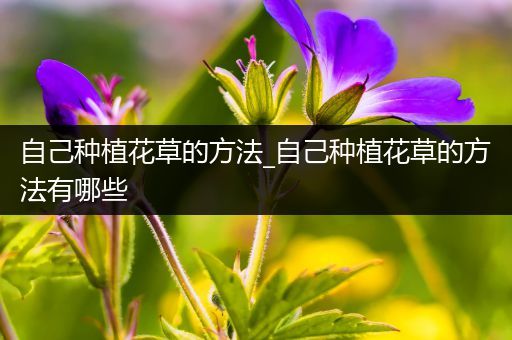 自己种植花草的方法_自己种植花草的方法有哪些