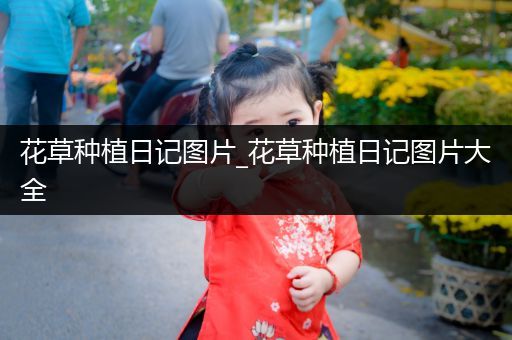 花草种植日记图片_花草种植日记图片大全