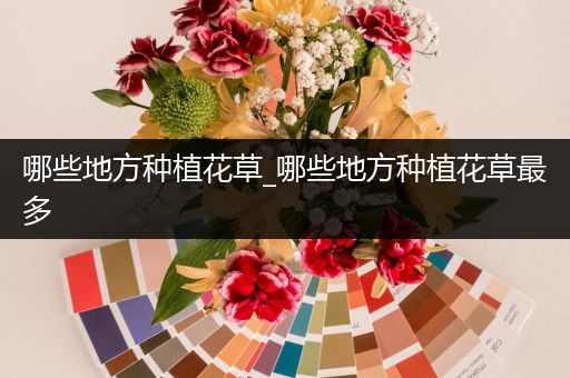 哪些地方种植花草_哪些地方种植花草最多