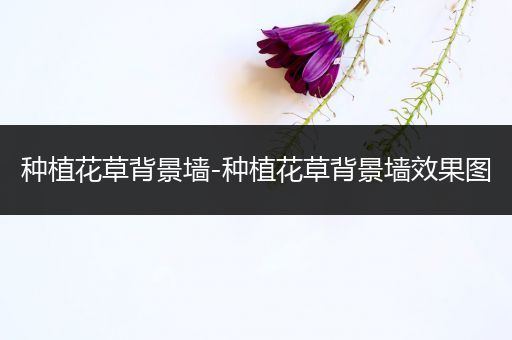 种植花草背景墙-种植花草背景墙效果图